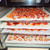 23.6 * 157.5"(60 * 400cm) Silicone Dehydrator Sheets, Non-Stick Reusable Dehydrator Mats for Fruit Dryer Mesh for Cosori,Fine Mesh Trays