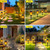 AOUNQ Solar Lights Outdoor Waterperoof Upgraded, 10Pack Solar Tiki Torches with Flickering Flame, 12LED Mini Solar Garden Lights for Patio Yard Pathway Landscape Decorations-Dusk to Dawn Auto On/Off