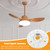 HKZTUY 18W 4.9-Inch Ceiling Fan LED Light Replacement, Dimmable LED Retrofit Panel with 3 Color Temperatures (3000K/4000K/5000K), Energy Efficient for Living Room, Bedroom, Office - for Homeowners