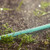 Gilmour 2-in-1 Sprinkler Soaker Hose, 50 ft Heavy Duty Watering Hose with Holes, Water Hose for Lawn and Garden Irrigation