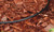 Rain Bird T22-50S Drip Distribution Tubing, 1/4"