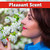 I Must Garden Deer Repellent: Powerful All-Natural Protection, 1 Gal Spice
