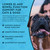 Animal Essentials Colon Rescue Dog Stool Softener - 2 fl Oz