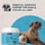 Animal Essentials Colon Rescue Powder Phytomucil, No Preservatives - 1 Oz