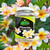 Nelson Plumeria Plant and All Flowering Tropicals Food Ferns Orchids Lilys In Ground Container Patio Grown Granular Fertilizer NutriStar 5-30-5 (2 lb)