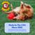 Doggie Dooley Virtually Indestructible Dog Ball - 14 Inch, Colors May Vary