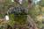 SuperMoss (21588) Sheet Moss Preserved, Natural, 5 Pounds (20-24 sq. ft.)