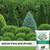 GreenView Multi-Purpose Fertilizer NPK 10-10-10, 33 lb. Covers 3300 sq. ft.