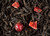 Dammann Freres Sachets, Quatre Fruits Rouges Tea Bags, Premium Gourmet French Black Tea, Blend Strawberry, Cherry, Raspberry, Red Currant Flavors, Individually Wrapped, 24 Count (Single Pack)