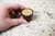 Dark Chocolate Dessert Cups 16ct, Edible Cups for Liquor, Dairy-Free GF