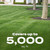 Scotts Green Max Lawn Food, 16.67 lbs.