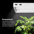 VIVOSUN T5 Grow Light Bulbs 2Ft 22 Inches, 24W 6500K HO Light Bulbs, 5-Pack