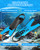 Aegend Snorkeling Gear Set for Kids - Anti-Fog Diving Mask, Adjustable Fins & Dry Snorkel, Full Snorkel Kit for Youth Swimming & Diving (Ages 5-15) (Black, S/M)