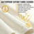 AMCATON 4 Pack Square Outdoor Seat Cushions (Cream, 19 INCH × 19 INCH)