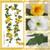 CISDUEO 2 Pcs Artificial Vines for Outdoors Silk Morning Glory Garland 11.5 Ft Hanging Flowers Plants Yellow and White Fake Petunias Vines for Indoor Home Decor Wall Fence Mantle Stairway Mailbox