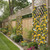 CISDUEO 2 Pcs Artificial Vines for Outdoors Silk Morning Glory Garland 11.5 Ft Hanging Flowers Plants Yellow and White Fake Petunias Vines for Indoor Home Decor Wall Fence Mantle Stairway Mailbox