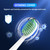 Toothbrush Replacement Heads Compatible with TAO Clean Sonic Electric Toothbrush - Daily Care Whitening Brush Heads Compatible with Taoclean, White