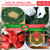 48in Pre-Lit Christmas Wreath Outdoor with 200 LED Lights – Extra Large Artificial Xmas Wreath Timerable & Dimmable with Bow, Pine Cones – 512 PVC Tips Winter Wreaths for Walls, Windows, Garages