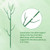 10-Pack Stackable Plant Stakes for Monstera, Pothos & Climbing Plants