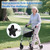 Walker Replacement Parts, Rollator Parts Kit, M6 Screws & Knobs, 2 Sets