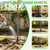 8 Pack Tree Protectors from Deer, Tree Guards Trunk Protector