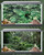 Breling 4 Pcs 36 x 18'' Reptile Tank Background 30/40/50 Gallon Tank
