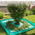 Landscape Pruning Tarp, 80"x80" Tree Trimming Tarp with 12" Center Hole