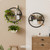 BUTUNITA Round Floating Shelves for Wall, Modern Circular Wall-Mounted Displays in Black Metal for Living Room, Bedroom & Bathroom – Unique Hanging Decor & Storage, Set of 2