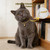Cwyza Gold Cat Chain Collar with Bell,Small Dog Chain