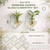 Yungyan 6 Pack Wall Mounted Glass Planter Borosilicate Glass Diamond Hanging Vase with Hidden Invisible Hook Hydroponic Plant Propagation Station Clear Wall Planter for Home Bathroom Office Decor