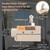 Awoco Heavy Duty Commercial Door Micro Switch with Parallel Roller Plunger for Sliding Doors/Windows for Air Curtains, 250V 15A IP 65 Limit Switch Type NO and Type NC (TZ-6002-15A)