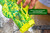RESCUE! VisiLure® TrapStik for Wasps, Mud Daubers, Carpenter Bees