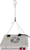 "Hydro Crunch Two Led Grow Light with High Yield Diodes Full Spectrum LED Grow Li Size: 600 W"
