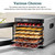 Cosori Food Dehydrator Accessories, Stainless Steel Sheets, CP267-FD Only