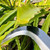 Sickle Garden Tool Machete for Yard Work and Cutting Trees Heavy Duty Machetes Knife Brush Clearing Sickles with Carbon Steel Blade for Grass, Harvest, Weeding (Sickle)