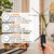 Grow Light Free Standing, 5500K Full Spectrum Growing Plant Lamp