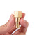 1/4" Coupling x 1/4" Inch NPT Female &Male Brass Air Hose Quick Connect Adapter,Air Coupler and Plug Kit,Air Compressor Fittings 10pcs (male&female)