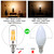 LiteHistory E12 T6 Candelabra Light Bulbs 60 Watt,Dimmable,Warm White 2700K