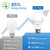 SHINESTAR A19 LED Light Bulb, 60 Watt Light Bulbs 5000K Daylight White, E26 Standard Base, Non-Dimmable, 6-Pack