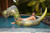 PoolCandy Gigantic T-Rex Dinosaur Inflatable Pool Raft, 120 Inch Giant Float for 2–3 Adults, RealPrint Graphic Swim Platform for Pool Lake Beach River, Heavy Duty PVC Supports Up to 450 lbs