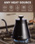 Tea Kettle For Stovetop, Pour Over Gooseneck Kettle, Thermometer, 30 oz