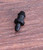 sowaka 30 Pcs Drip Irrigation Plugs Plastic Black 1/4 Inch Tube