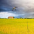 Bird Scare Flying Kite with 4m Pole Has The Effect of Scaring Birds-Type B