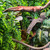 HERCOCCI Reptile Vines, Flexible Jungle Climbing Vines Terrarium Plastic Plants and Leaves Tank Accessories Decor for Gecko Snake Lizard Bearded Dragon Hermit Crab Frog