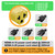 [4-in-1] 15 Amp Household AC Plug to 20 Amp T Blade Adapter,5-15P to 5-20R,5-15P to 6-15R,5-15P to 6-20R, 4 in 1 AC Power Adapter,15A 125V to 20A 250V Adapter (Yellow, 1)