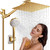10" Gold Shower Head with Handheld, 5 Spray Handheld with 11" Extension Arm