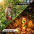 Solar Lanterns Outdoor Light Waterproof Hummingbird Garden Decor Light