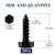 1/4" x 1" Hex Head Lag Screws Bolts 10Pcs 304 Stainless Steel 18-8, Partial Thread, Hexagon Head Wood Screws Black Oxide by SG TZH