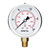 SENCTRL 0-200 Psi Liquid Filled Pressure Gauge, 1/4" NPT Lower Mount