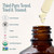 Cliganic Organic Cold Pressed Pumpkin Seed Oil, 100% Pure - For Hair & Face | Natural Unrefined